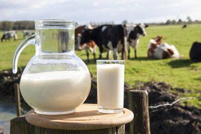 女人吃什么对乳房好?这6种食物可常吃!