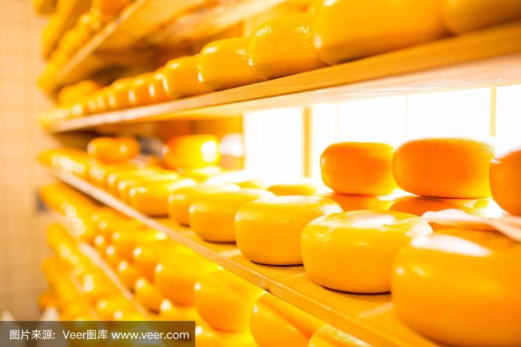 奶酪荷兰乳制品
